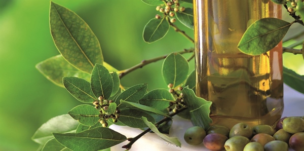 Olio, Agrinsieme: campagna Mipaaf fa bene ad extravergine